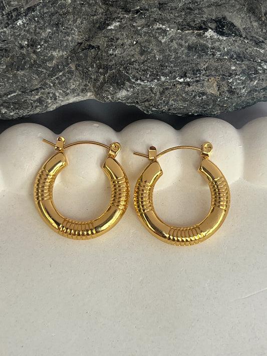 Anti tarnish hoops combo