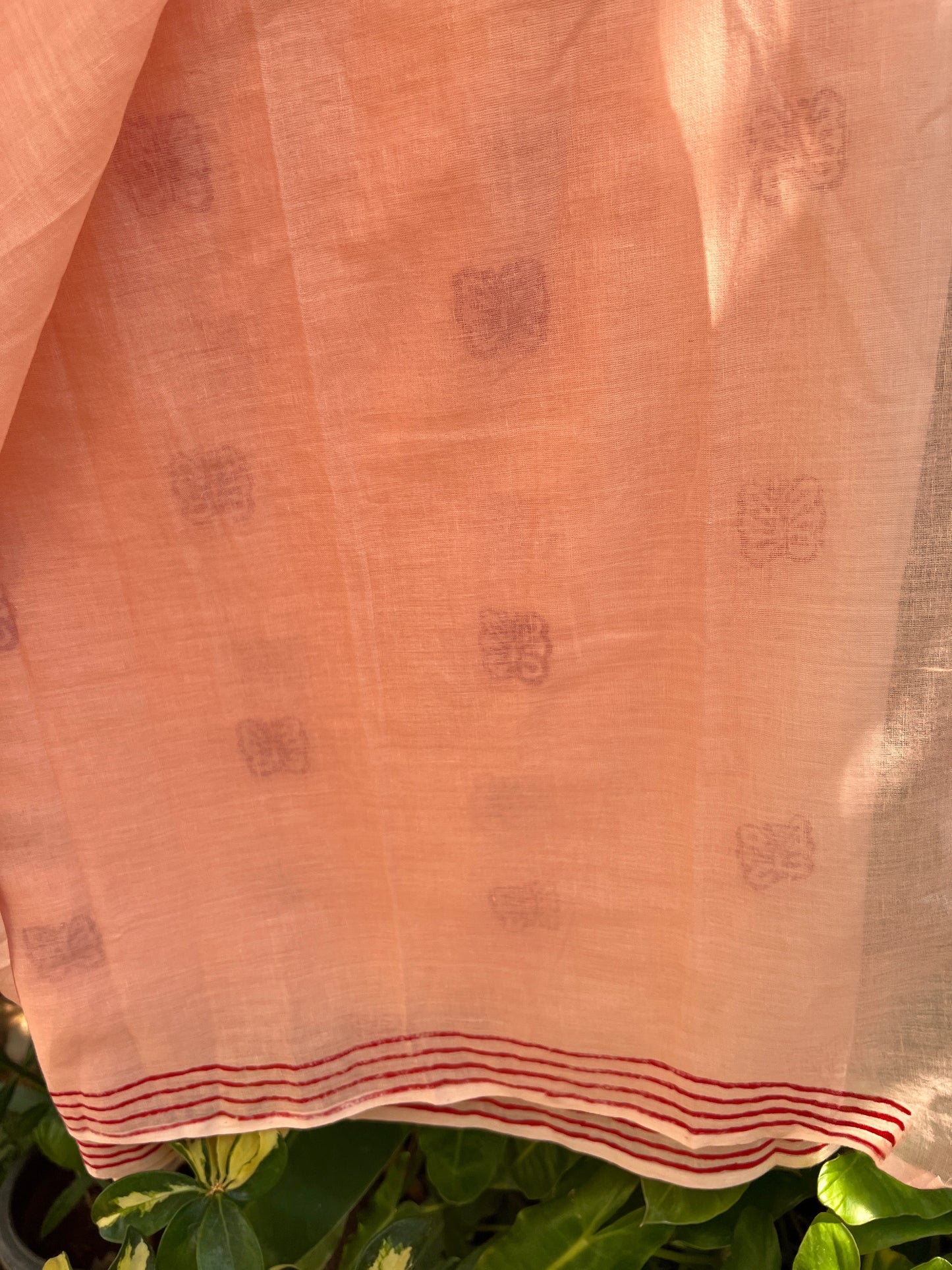 Chitralekha saree