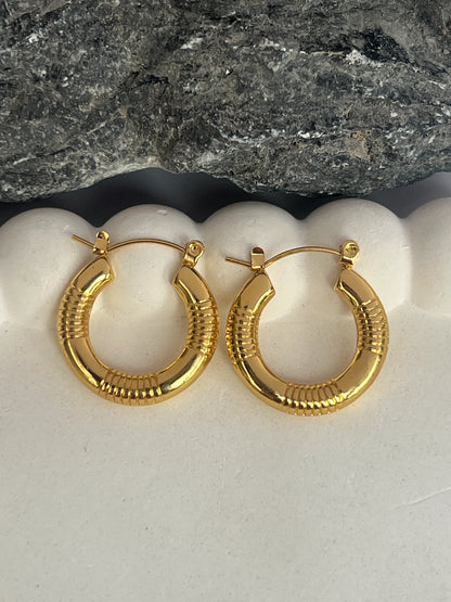 Anti tarnish hoops combo