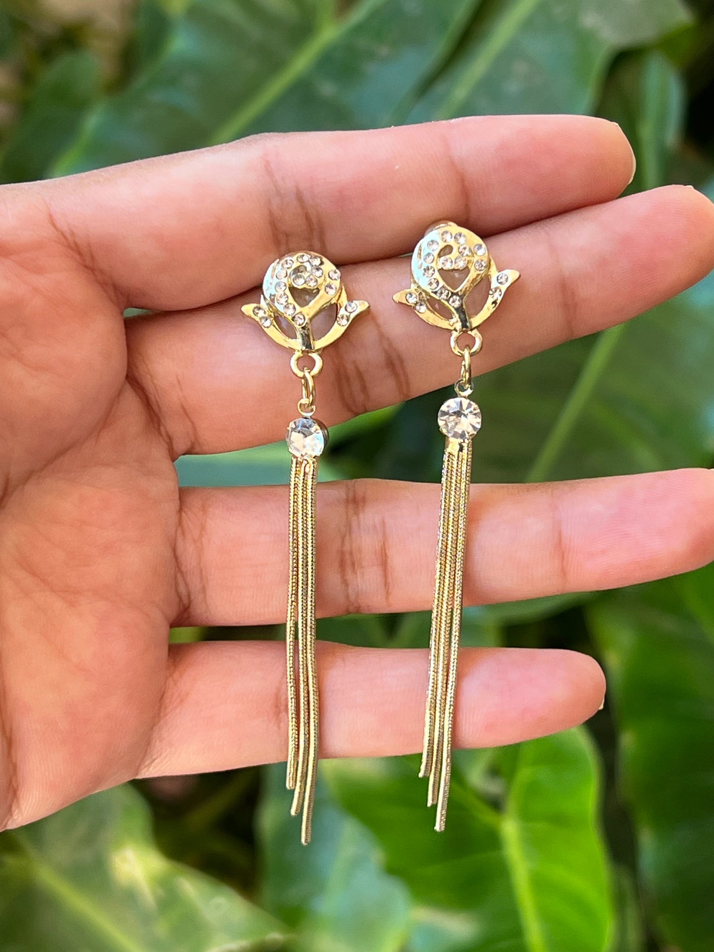 Earrings