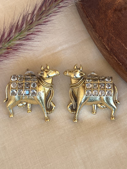 Cow studs