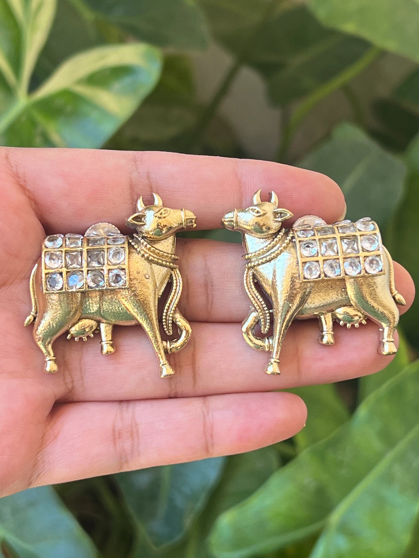 Cow studs
